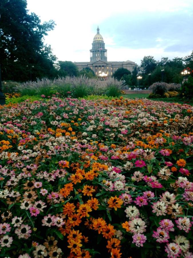 rainbow of flowers capitol building